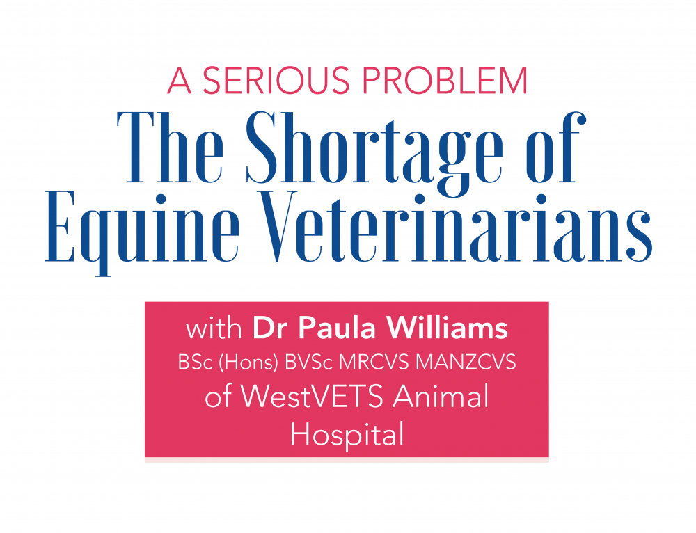 The Shortage of Equine Veterinarians – Dr. Paula Williams of WestVETS Animal Hospital